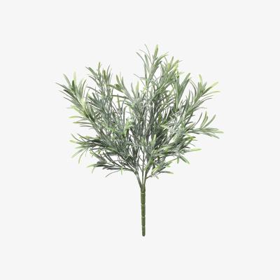 The Range UV Indoor, Outdoor Everlast Rosemary Plant - Green