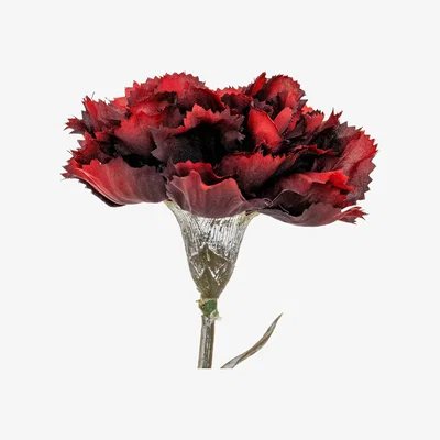 The Range Hill Interiors Carnation Artificial Flower - Burgundy