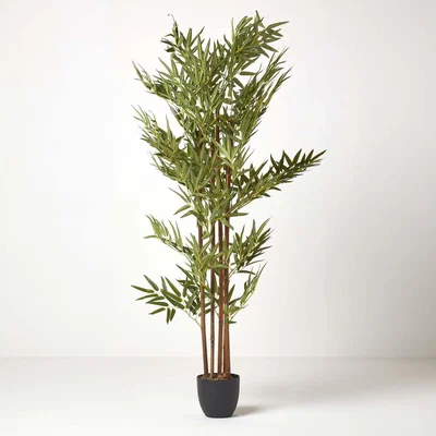 The Range Homescapes Green 5ft Bamboo Tree Artificial Plant with Pot, 155 cm - Green (flowers), black (pot)