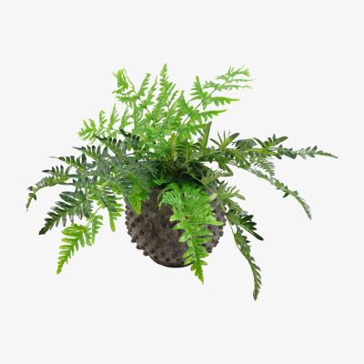 The Range Luxury Artificial Evergreen Fern Plant - Green