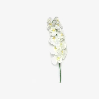 The Range Ivory Artificial Phalaenopsis Orchid Flower Stem - Ivory