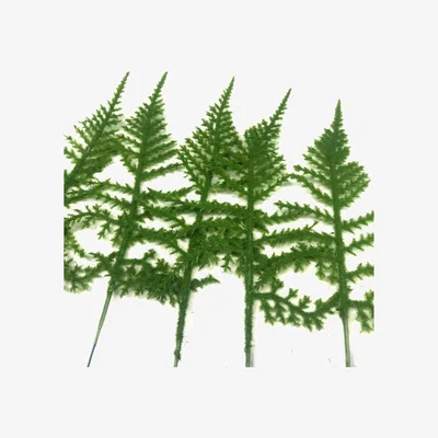 The Range 3 Packs of 12 Faux Flocked Fern Leaf Sprays Foliage - Green