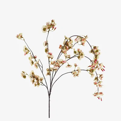 The Range Natural Trailing Cherry Stem Artificial Flowers - Natural Cherry Spray