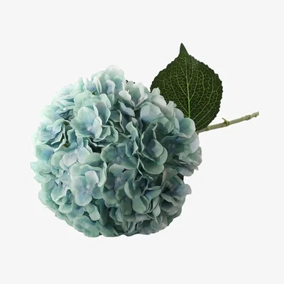 The Range Large Head Hydrangea Single Stem  - Blue