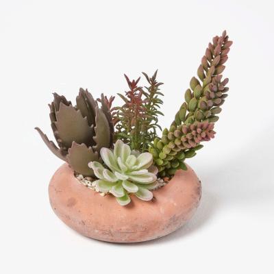 The Range Homescapes Artificial Succulent Arrangement in Round Terracotta Pot, 15cm Tall - Green