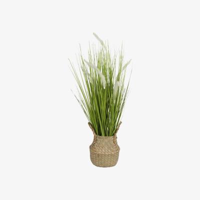 The Range Pampas with Basket