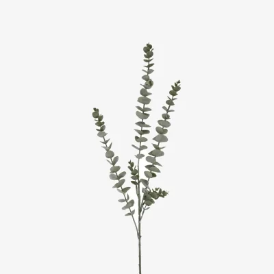 The Range Set of 3 Gunnii Eucalyptus Stems - Green