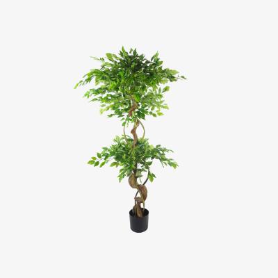 The Range Twisted Trunk Artificial Japanese Fruticosa Style Ficus Tree - Green / 150cm