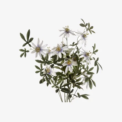 The Range Passion Flower Spray - White