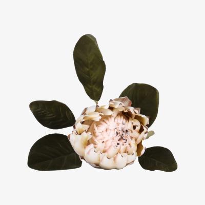 The Range Natural Protea Stem