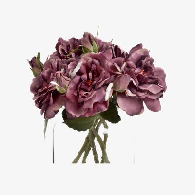 The Range Dusty Pink Short Stem Fashion Rose Blush Blossom - Pink