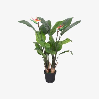The Range Artificial Bird of Paradise Plant - Strelitzia XL - Green