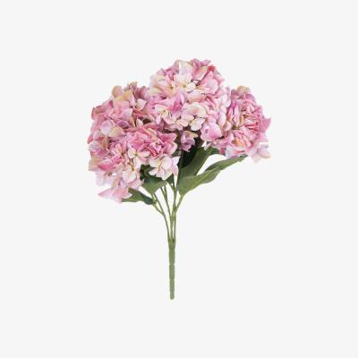 The Range Hydrangea Bouquet The Beauty of Nature - Pink