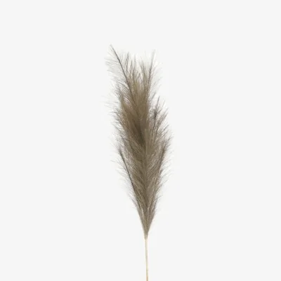 The Range Luxury Pampas Olive Green Artificial Flowers - Olive