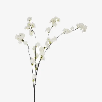 The Range Set of 3 Large Cherry Blossom Stems - White