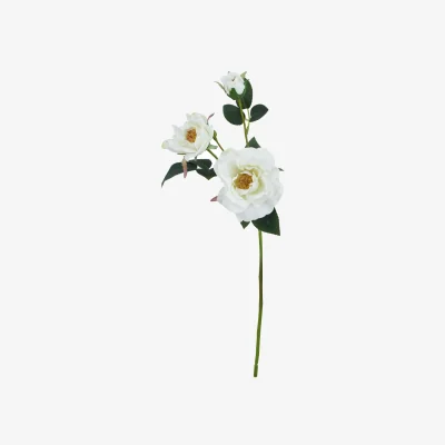 The Range The Natural Garden Collection White Tea Rose Artificial Flower Stem - White