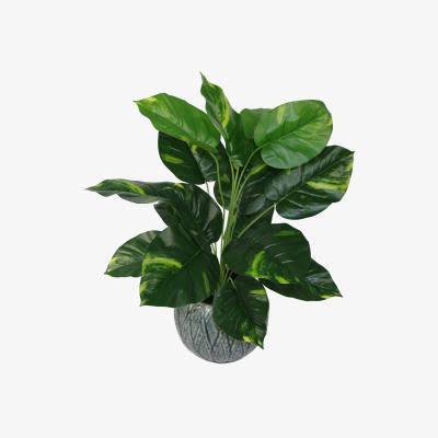 The Range Artificial Devil's Ivy (Scindapsus Aureus) Plant - Green
