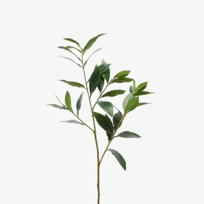 The Range Laurus Nobilis Green Artificial Flowers - Green