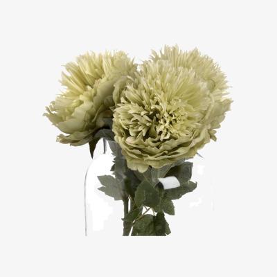 The Range Lush Floral Bloom Peony - Green