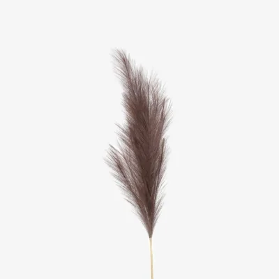 The Range Luxury Pampas Mocha Brown Artificial Flowers - Brown