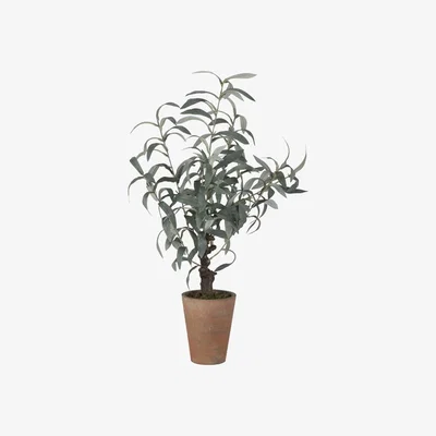The Range Olive Tree Ornament