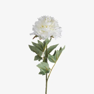 The Range Timeless Floral Classic Peony  - White
