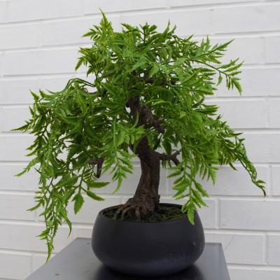 The Range Artificial Luxury Ficus Bonsai Tree - Green