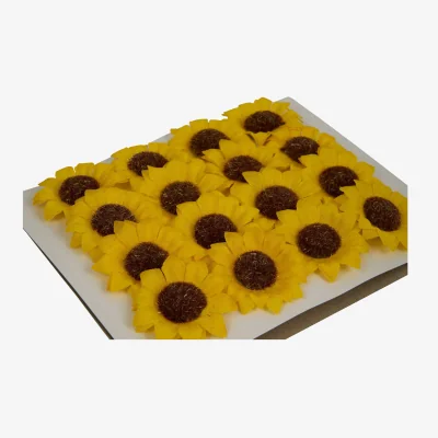 The Range 3D Sunflowers