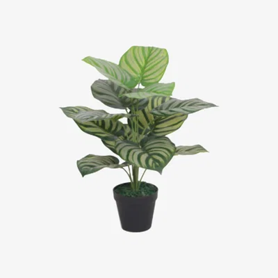 The Range Artificial Green Stripe Leaf Plant - Green