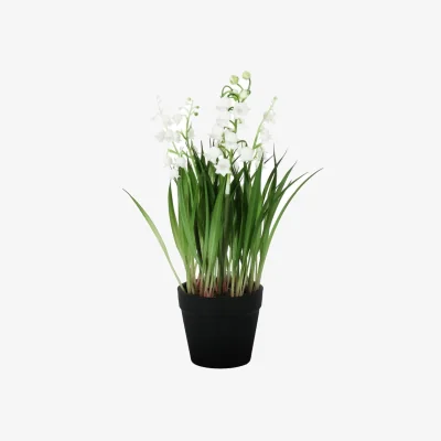 The Range Lily of the Valley Potted Plant 2 Pack - White