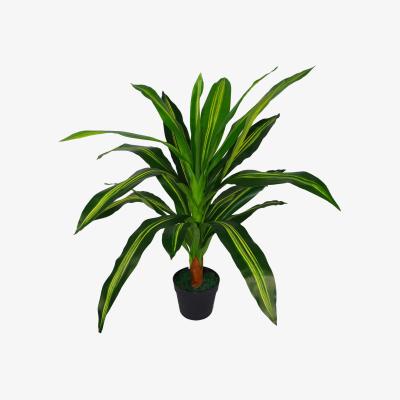 The Range Extra Wide Dracaena Variegated Large Artificial Dragon Plant Tree - Green