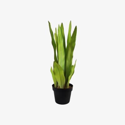 The Range Artificial Sansevieria Moonshine Plant - Green