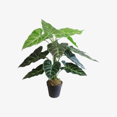 The Range Artificial Alocasia Amazonica Polly Taro Plant - Green