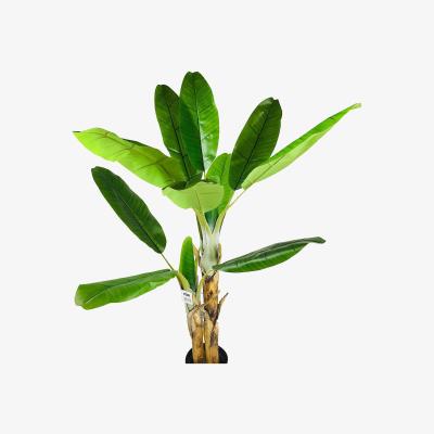 The Range Artificial Banana Trees - Green