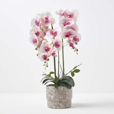 The Range Homescapes Large 64cm Lifelike Pink Artificial Orchid in Grey Cement Pot - Pink