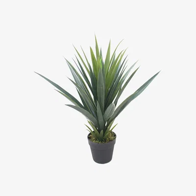 The Range Artificial Agave Succulent Yukka Style Green Plant - Green