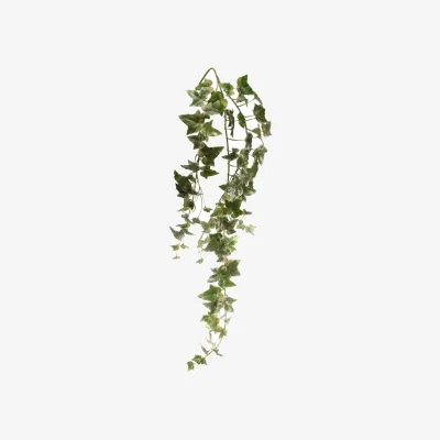 The Range Holland Ivy Vine Green Artificial Flowers - Green