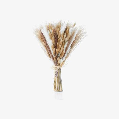 The Range Dried Pampas Bouquet - White