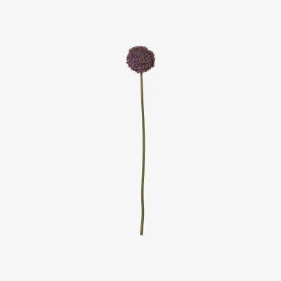 The Range Purple Allium Stem Artificial Flower Stem - Cream