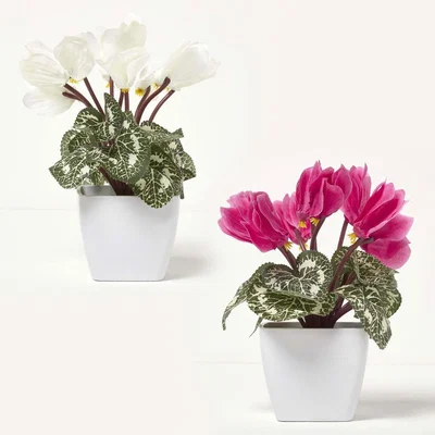 The Range Homescapes Set of 2 Cyclamen Artificial Plant in White Pot, 24 cm - White, Pink