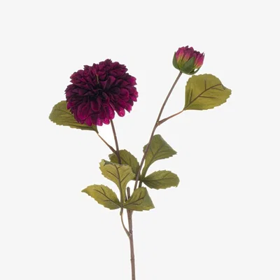 The Range Dazzling Dahlia Elegance - Purple