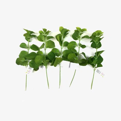 The Range Pack of 5 Faux Patchouli Leaf Stems with Green Flocked Leaves - Green
