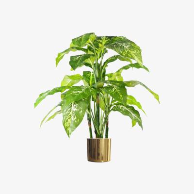 The Range Large Fox's Aglaonema Realistic Tree Artificial Plant Gold Metal Planter - Green
