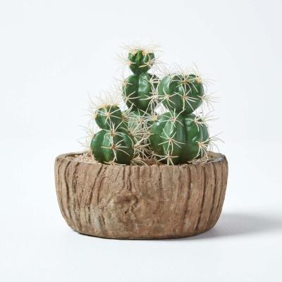 The Range Homescapes Echinocactus Artificial Cactus in Round Wooden Planter, 15 cm Tall - Green