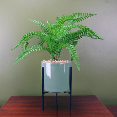 The Range Artificial Fern Plant Ceramic Planter  Stand - Green