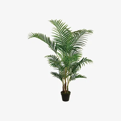 The Range Best Artificial 5ft Areca Palm Tree - Green