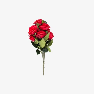 The Range Rose Bouquet - Red