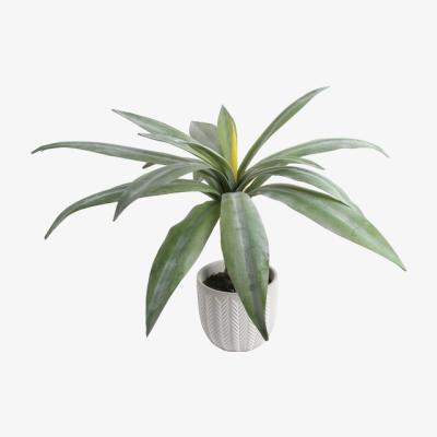 The Range Aloe in Grey Cement Pot