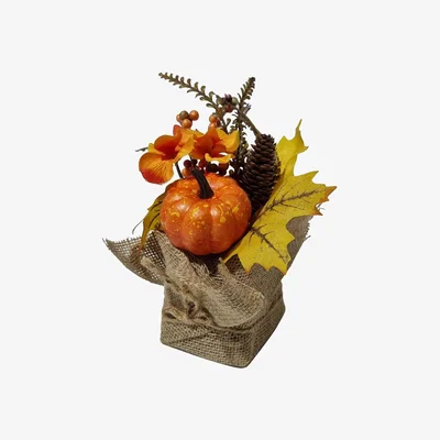 The Range Homescapes Orange Autumn Deocration with Pumpkins - Orange