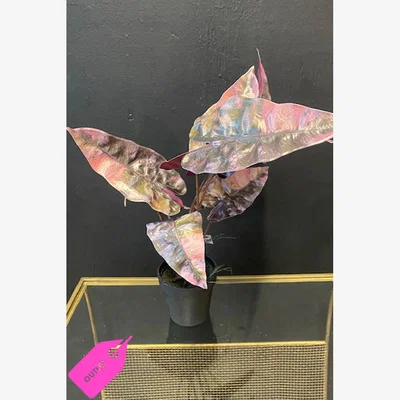 Rockett St George Pink Potted Faux Alocasia Plant - DISCONTINUED